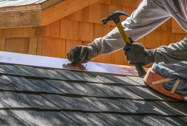 Best Green or Eco-Friendly Roofing Solutions  in Ludowici, GA