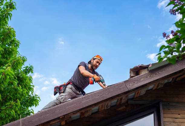 Fast & Reliable Emergency Roof Repairs in Ludowici, GA