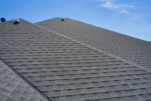 Best Roof Installation  in Ludowici, GA