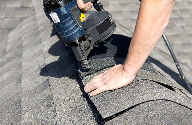 Best Roof Leak Repair  in Ludowici, GA